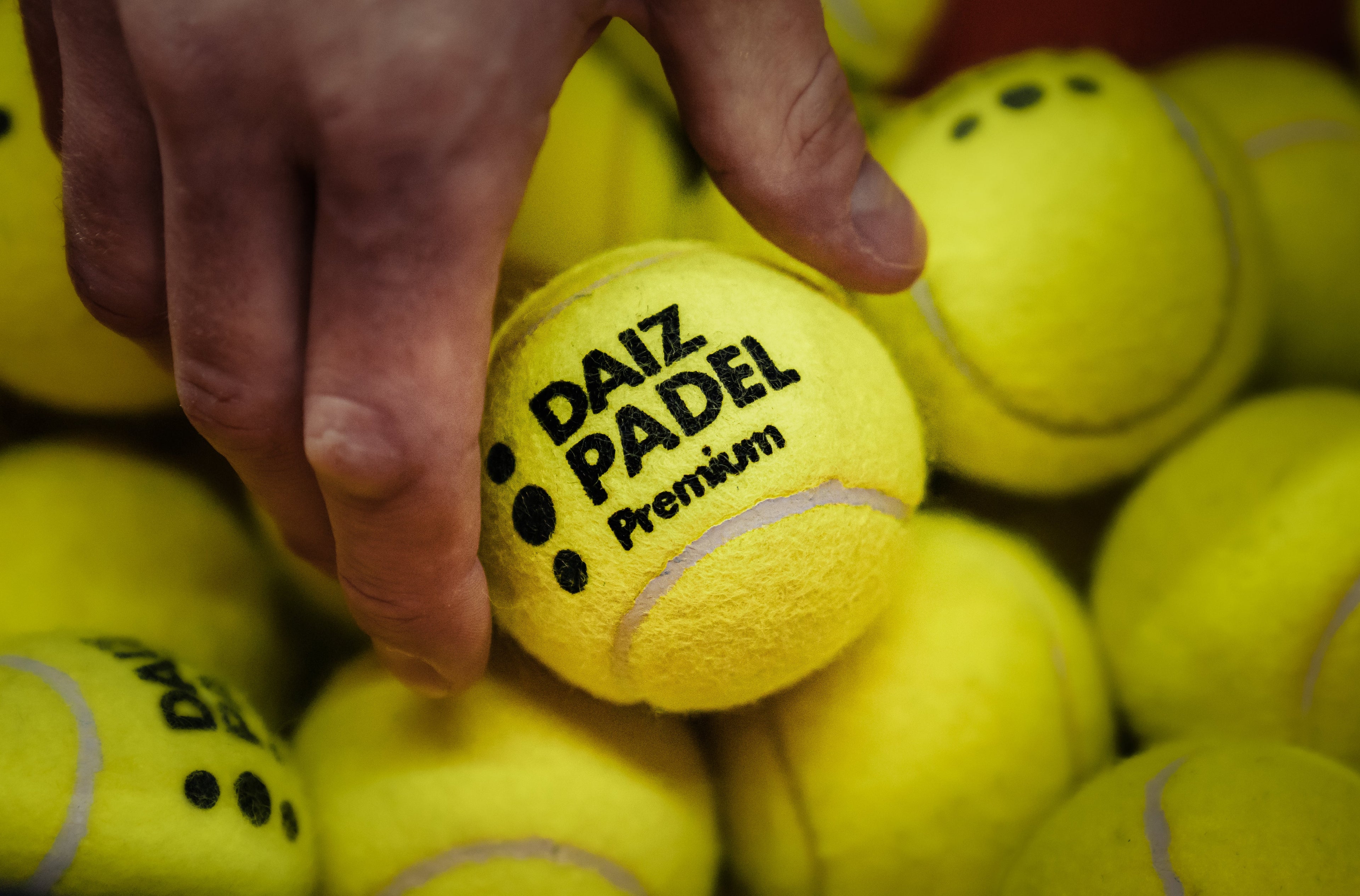 DAIZ Padel ball Premium, tube of 3 balls
